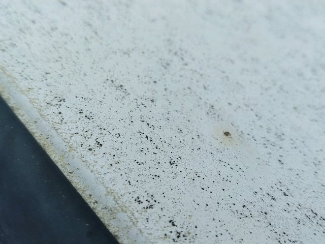 289.jpg