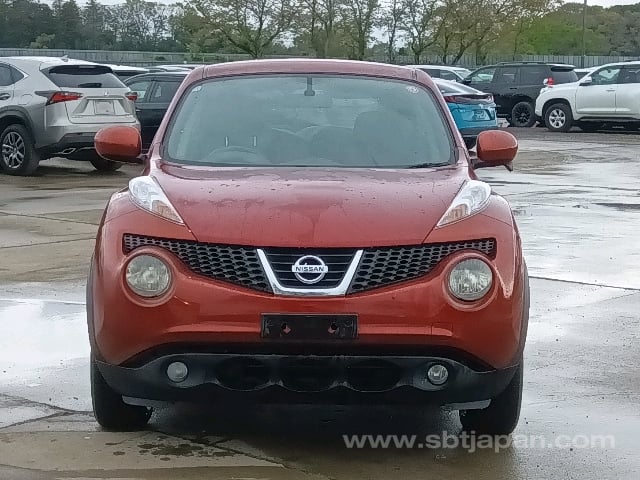 4.jpg