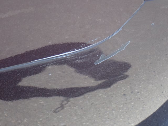 283.jpg