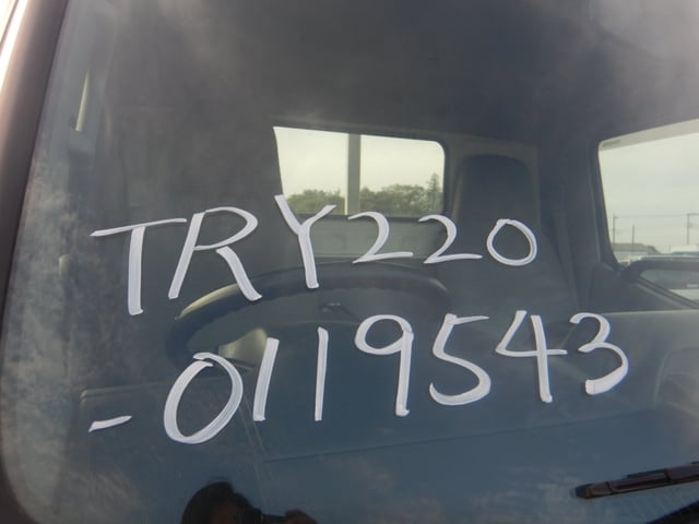 295.jpg