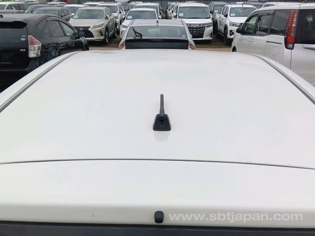 37.jpg