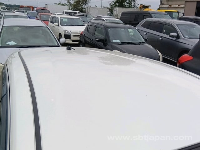 43.jpg