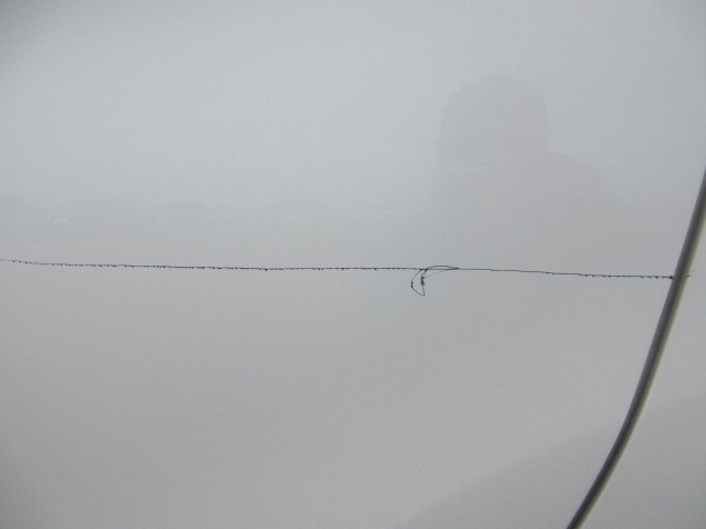 280.jpg