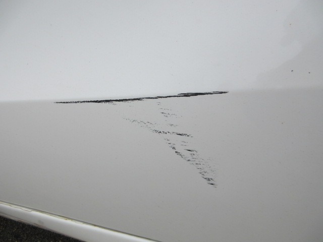 281.jpg