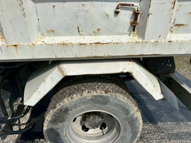 295.jpg