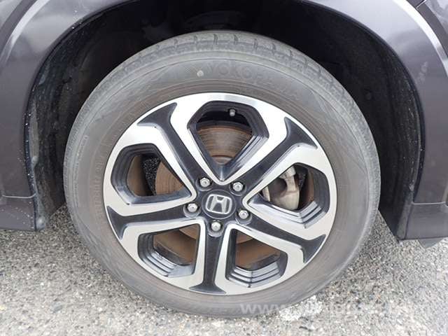 37.jpg