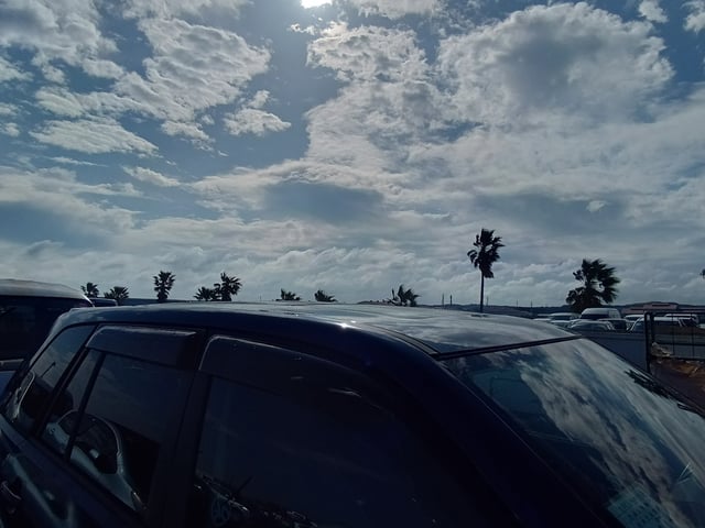 285.jpg
