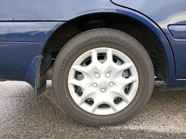 36.jpg