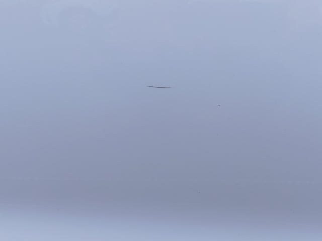 283.jpg