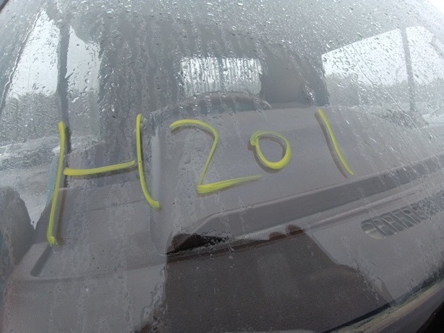 304.jpg