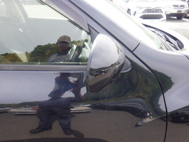 283.jpg