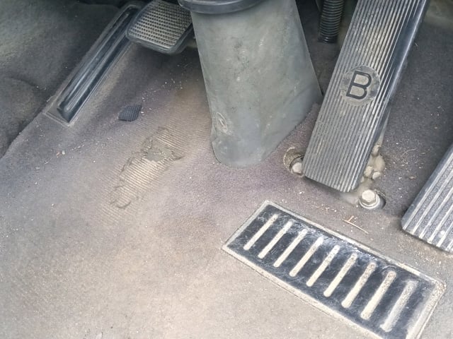 280.jpg