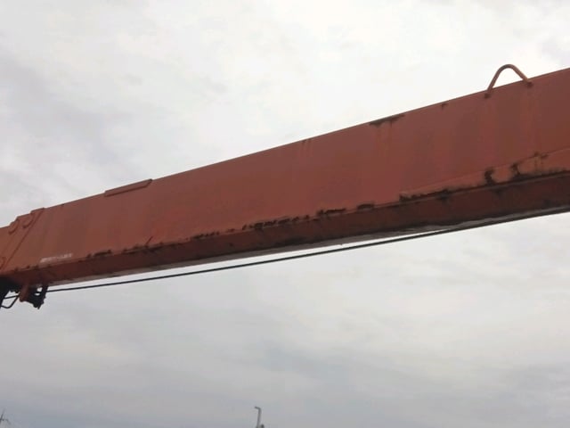 307.jpg