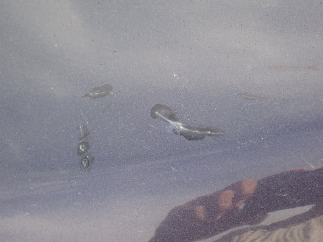 280.jpg