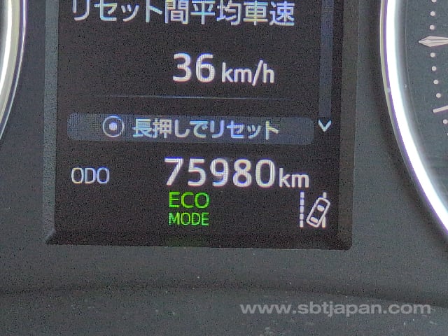 40.jpg