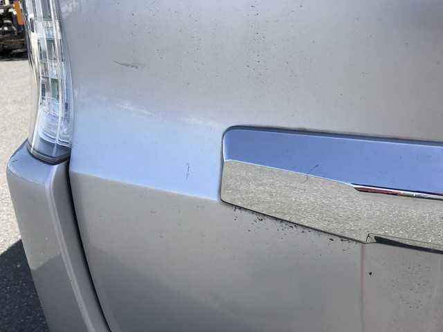 293.jpg