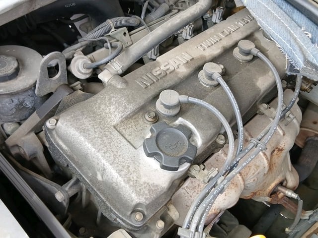 305.jpg