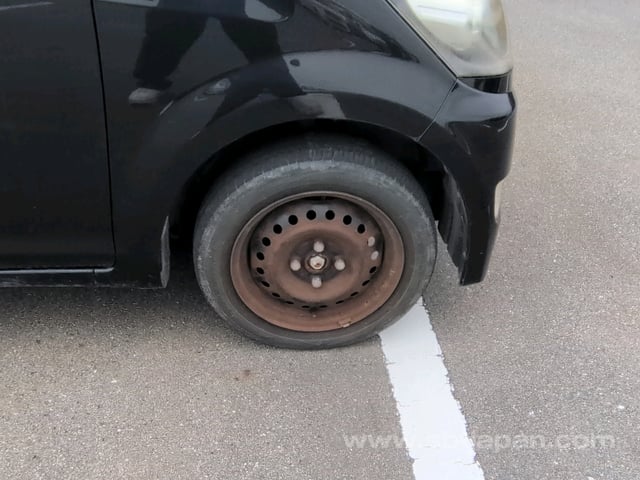13.jpg