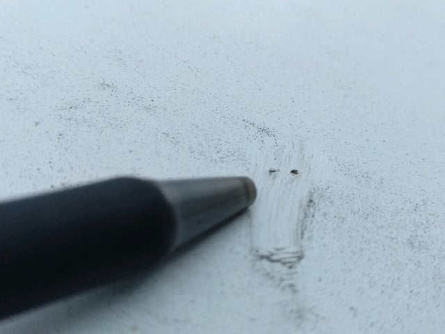 286.jpg