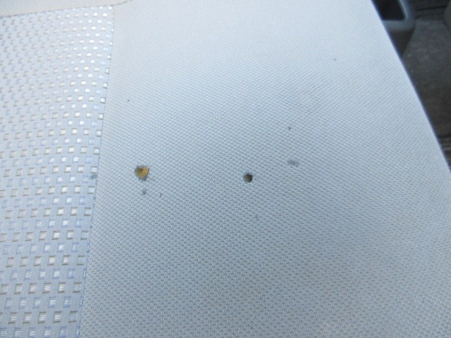 280.jpg