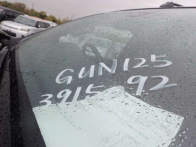 281.jpg