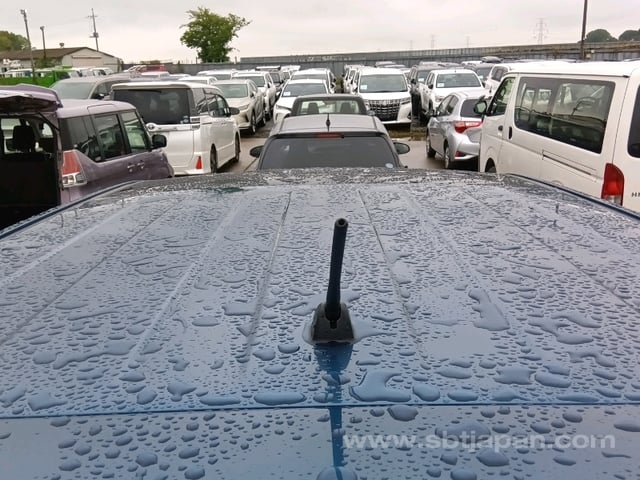 36.jpg