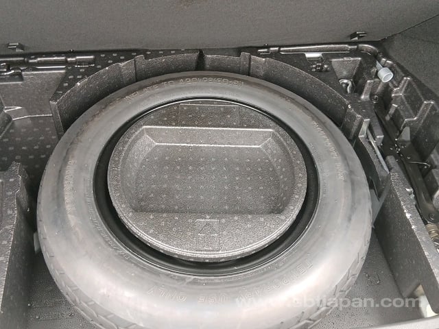 41.jpg