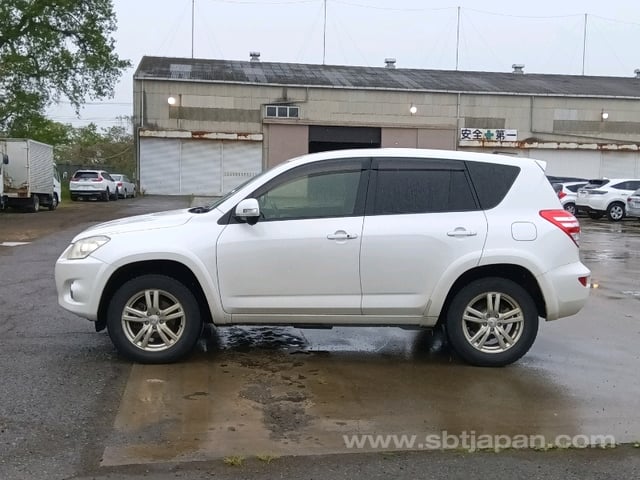 41.jpg