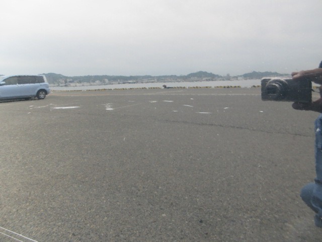 282.jpg