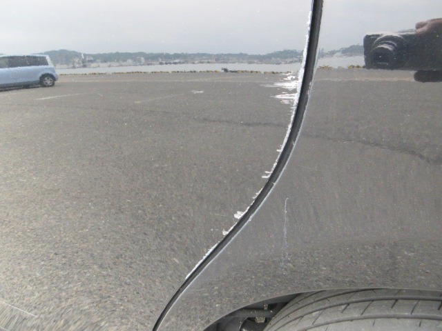 283.jpg