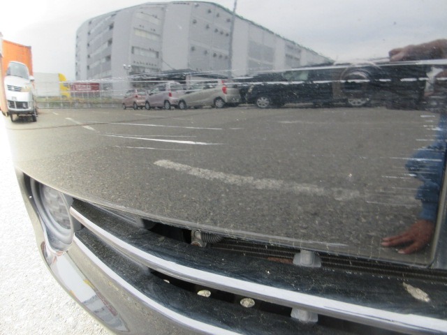 287.jpg