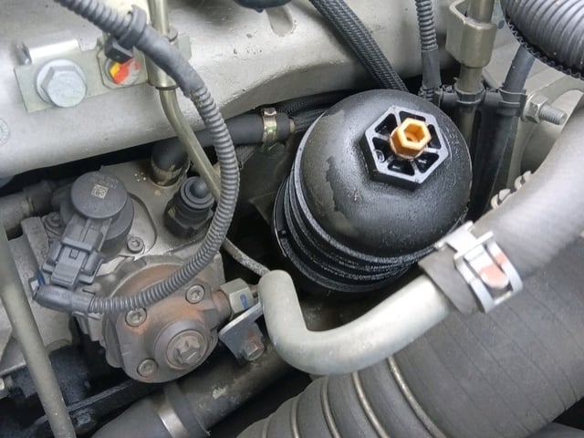 285.jpg