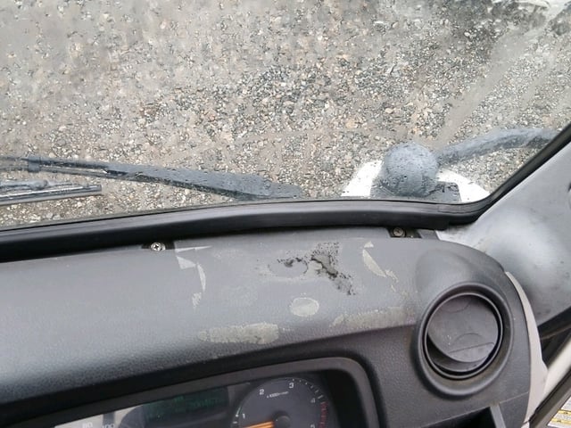 307.jpg