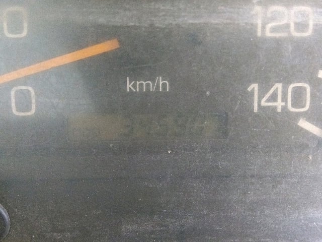 295.jpg