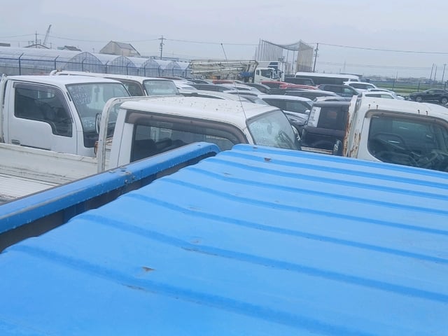281.jpg