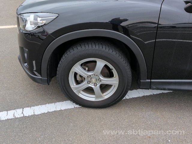 10.jpg