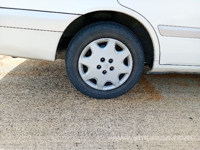 36.jpg