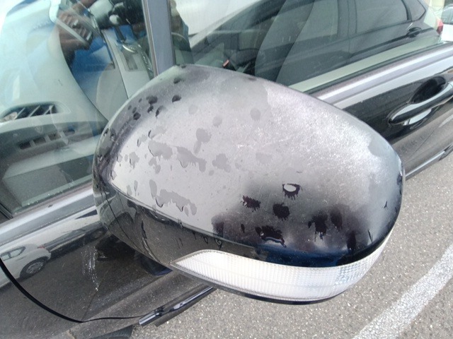 280.jpg