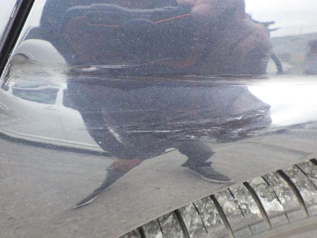 291.jpg