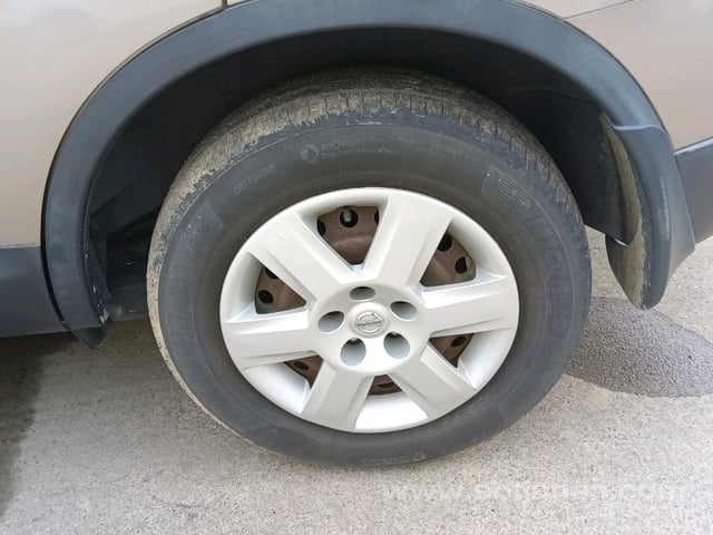 13.jpg
