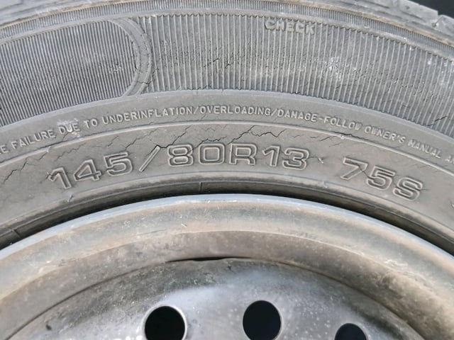 281.jpg