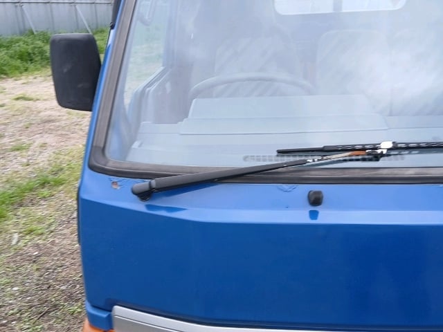 283.jpg