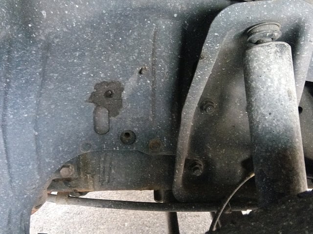 280.jpg
