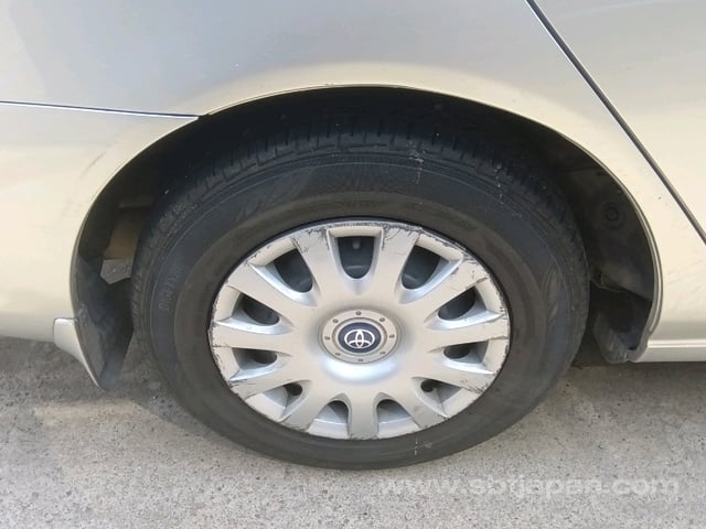 35.jpg