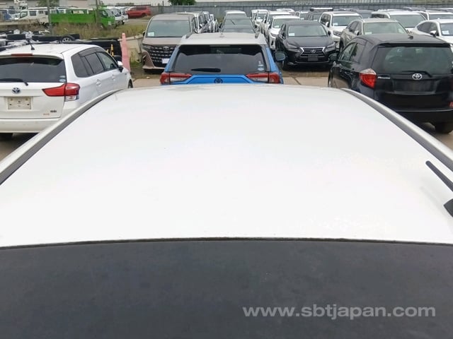 37.jpg