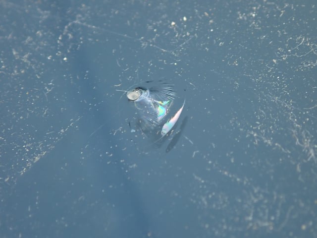 280.jpg