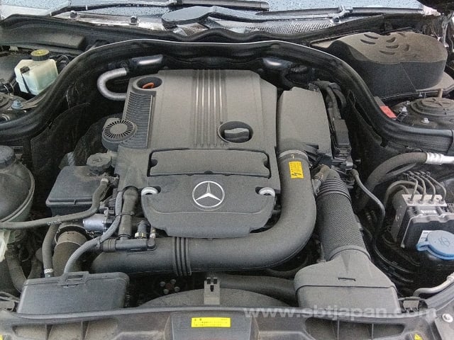 39.jpg