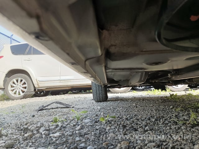 41.jpg