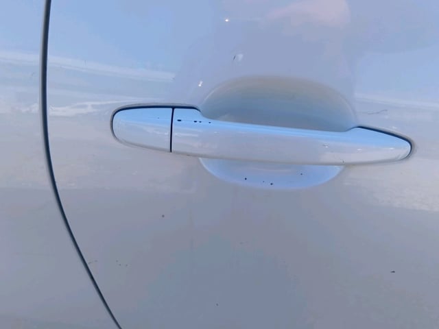 283.jpg
