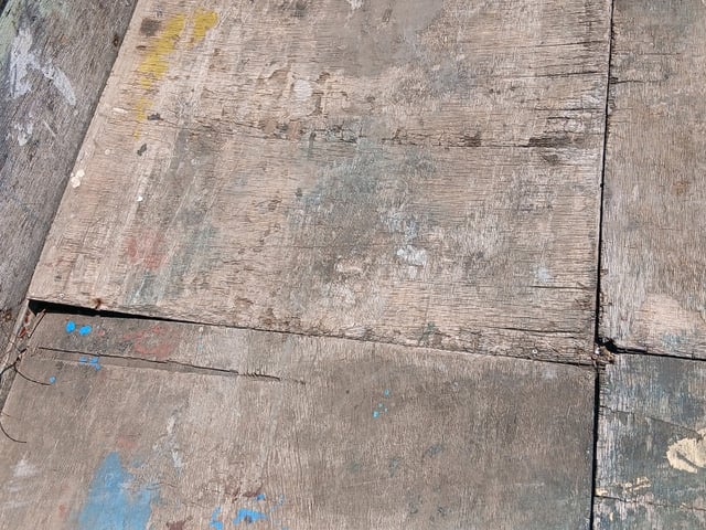 283.jpg